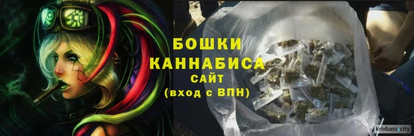 ПСИЛОЦИБИНОВЫЕ ГРИБЫ Белоозёрский