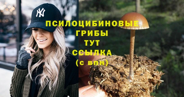 ПСИЛОЦИБИНОВЫЕ ГРИБЫ Белоозёрский