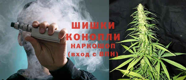ПСИЛОЦИБИНОВЫЕ ГРИБЫ Белоозёрский