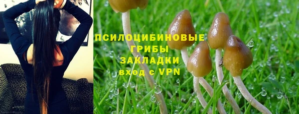 MDMA Белокуриха